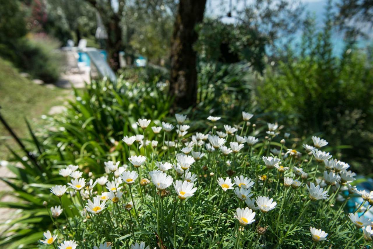 Villa Malcesine Exteriér fotografie
